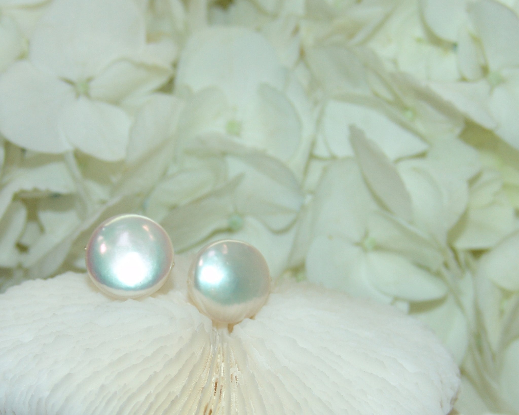 Freshwater Pearl Earring