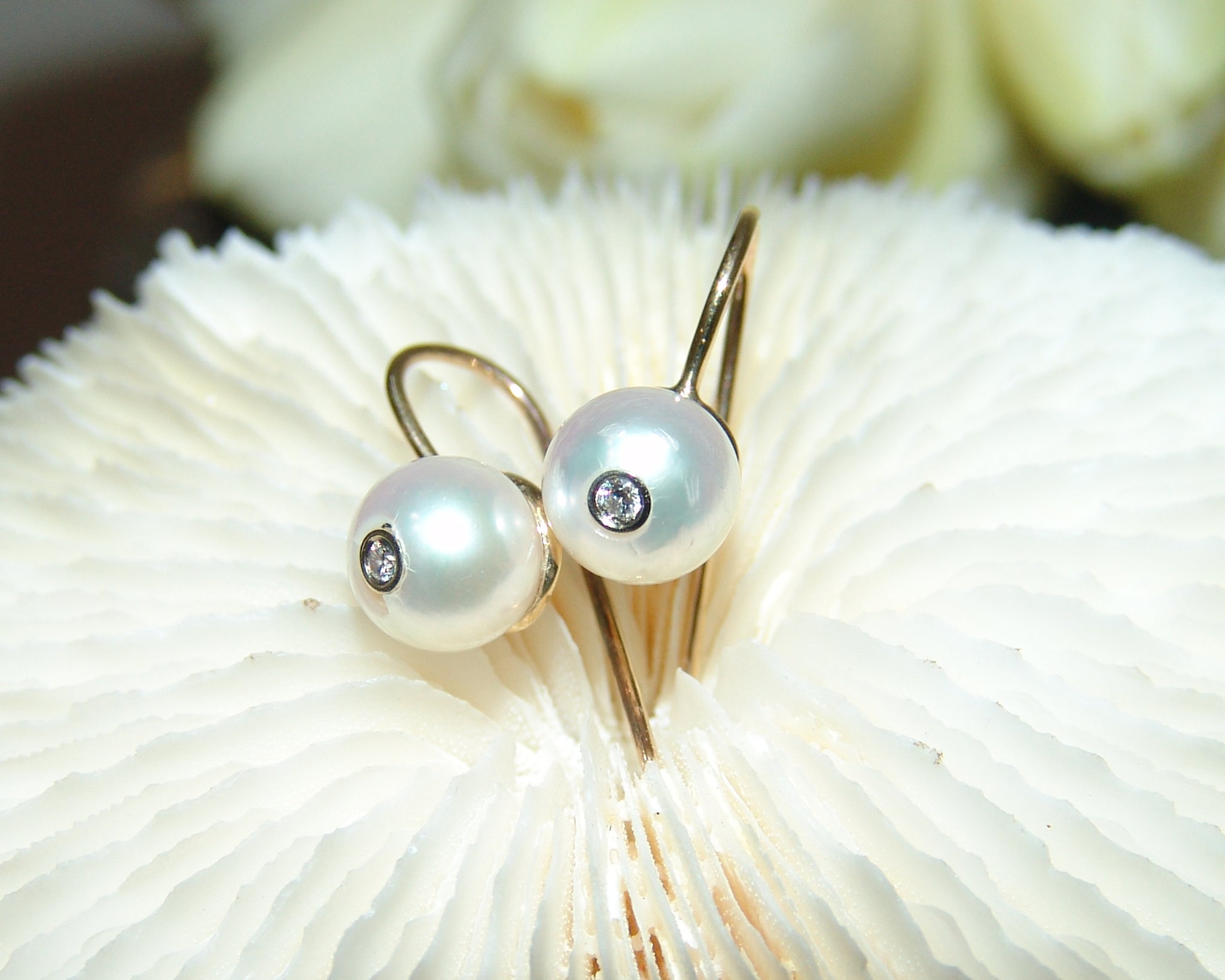 Freshwater Pearl Earring