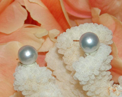 South Sea Pearl Earring