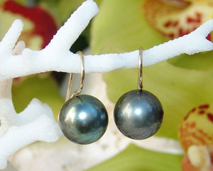 South Sea Pearl Earring