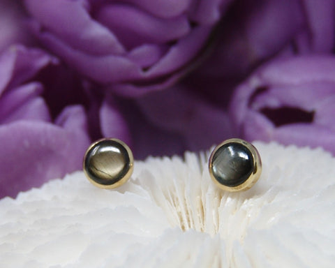 Black Star Sapphire Studs Earrings