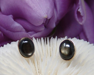 Black Star Saphire Studs