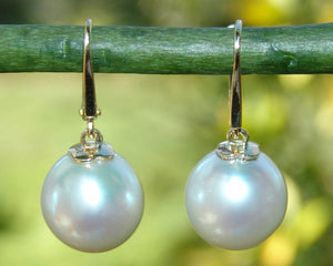 South Sea Pearl Earring