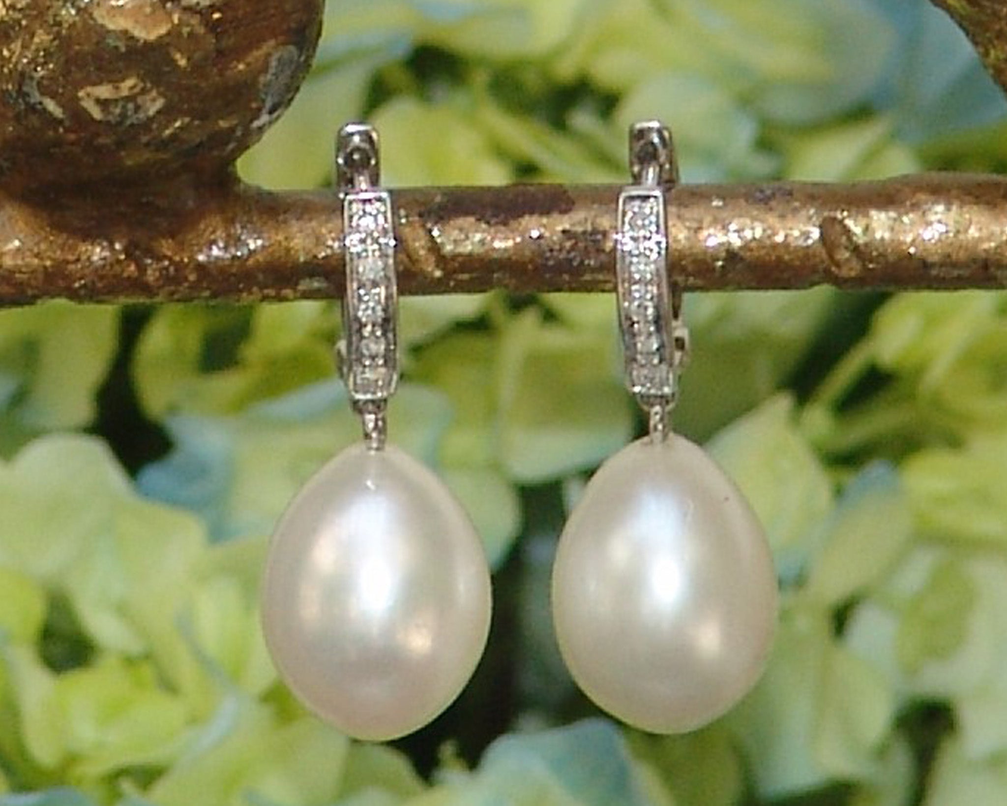 South Sea Pearl Earring