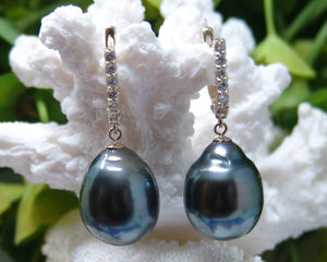 South Sea Pearl Earrings