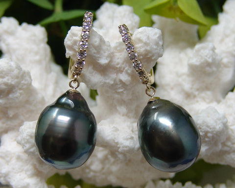 South Sea Pearl Earrings