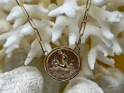 Capricorn (Sea Goat) Astrology Necklace