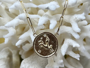 Capricorn (Sea Goat) Astrology Necklace