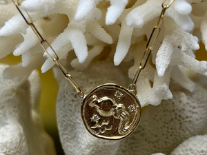 Aquarius (Water-Bearer) Astrology Necklace